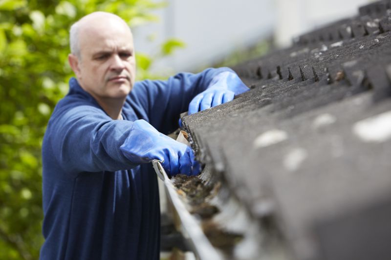 Workforce Performing Gutter Cleaning