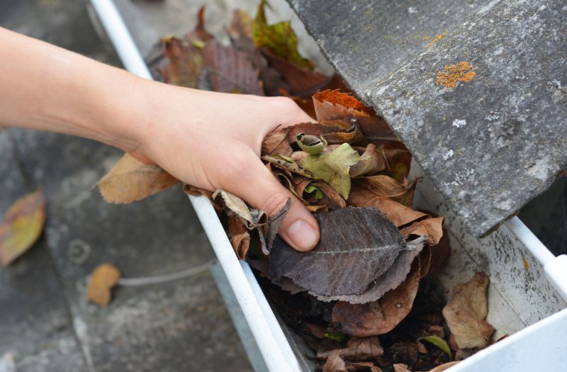 Clean Gutter Systems
