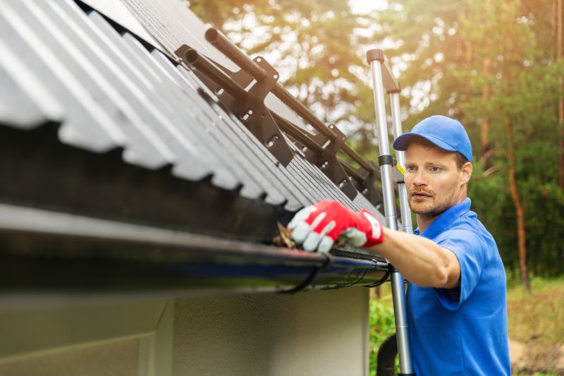 Professional Gutter Cleaning